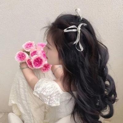 归途如虹
